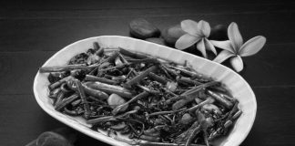 Cerpen : Sayur Kangkung