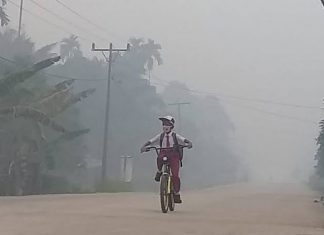 Puisi : Negeri Berasap