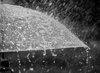 Puisi : Hujan yang Meluruh