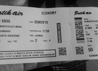 Upaya Nyata Kemenhub RI Ciptakan Kenyamanan Transportasi Indonesia