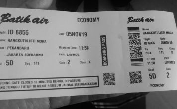 Upaya Nyata Kemenhub RI Ciptakan Kenyamanan Transportasi Indonesia