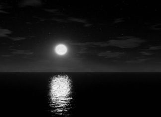 Puisi : Aku dan Malam