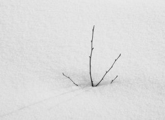 Puisi : Badai Pasti Berlalu