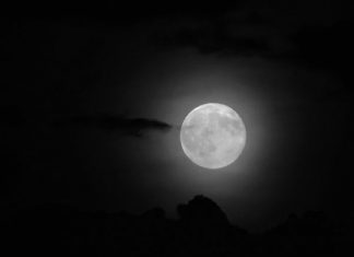 Cerpen : Jebakan Betmen