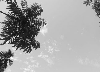 Puisi: Langit yang Sama