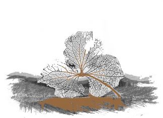 Cerpen: Yang Tak Pernah Selesai, Setelah Perpisahan