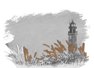 Puisi: Ilalang Sunyi