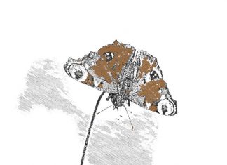 Puisi: Naûcent Naûdek Naû Mil Naûcent Naûdek Naû