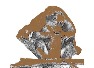 Puisi: Samboja Lestari