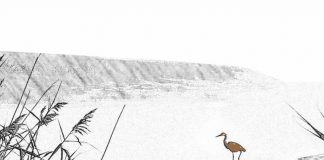 Puisi: Kuantan (Air Sungai Kuantan)