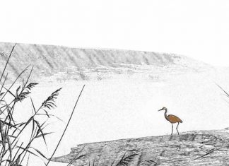 Puisi: Kuantan (Air Sungai Kuantan)