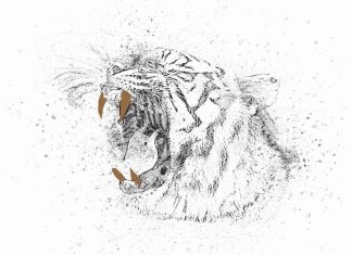 Puisi: Batang Taring Belang