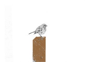 Puisi: Kisah Burung-Burung Kecil