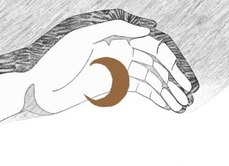 Puisi: Tak Pernah Cabut