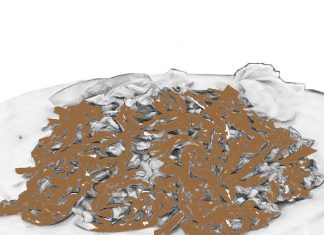 Puisi: Dialog Daun Kucai