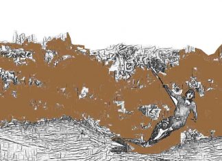 Puisi: Gelombang Bono