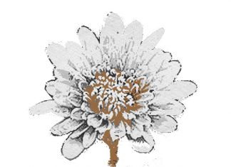 Puisi: Penikmat Hidup