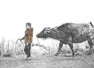 Puisi: Dendang Anak Gembala