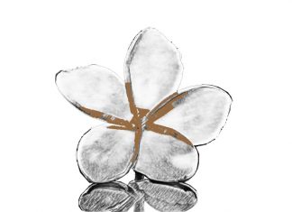 Puisi: Perjalanan Ziarah