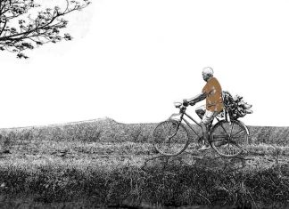 Puisi: Takdir di Catatan Memori Lelaki Tua