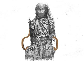 Puisi: Tjoet Nyak Dhien