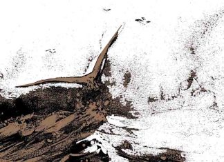 Cerpen: Dialog Senja antara Lautan, Pantai dan Angin