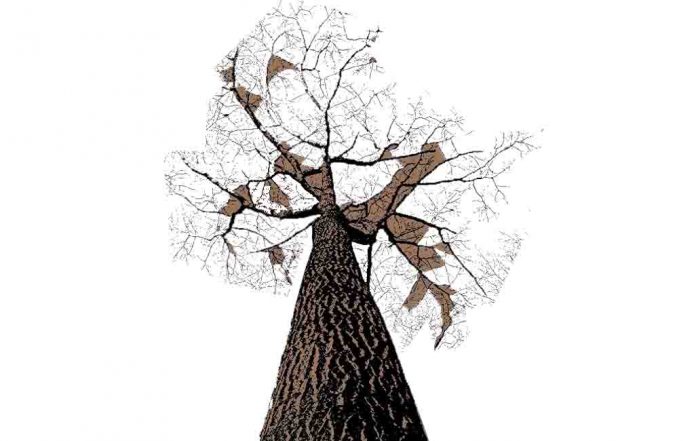 Puisi Putihnya Hitam