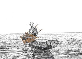 Cerpen: Dari Sungai Siak hingga Tanah Rempang sumber ilustrasi asli: pixabay