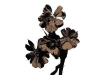 Gurindam: Orang Kampung