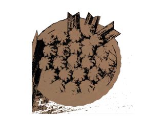 Bolu Berendam, Hidangan Bercita Rasa Manis Khas Raja Melayu Riau