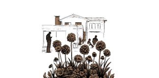 Cerpen: Robot Tahun Baru