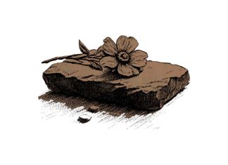 Puisi: Kembalilah Berulang Kali