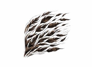 Puisi: Malam yang Merdu