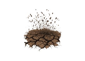 Puisi: Janji Langit pada Bumi