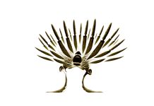 Puisi: Cengkaman Dendam