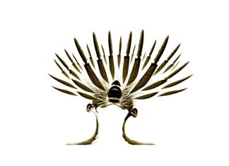 Puisi: Cengkaman Dendam