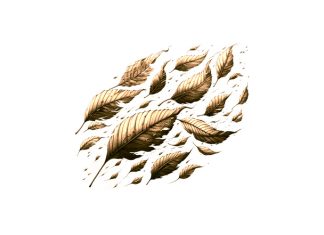 Puisi: Refleksi Masa Sudah