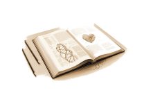 Puisi: Putih Abu-Abu