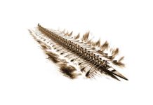 Puisi: Mengayuh Harapan, Menjaga Budaya