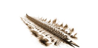 Puisi: Mengayuh Harapan, Menjaga Budaya