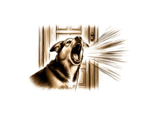 Puisi: Gonggongan Anjing