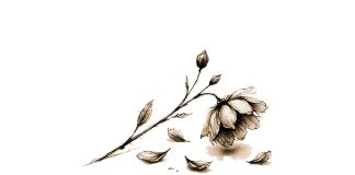 Puisi: Hampir Layu